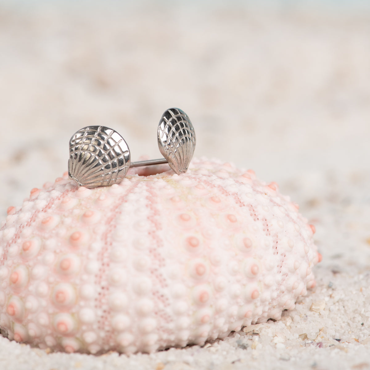 iXXXi Clous d'oreilles Coquille